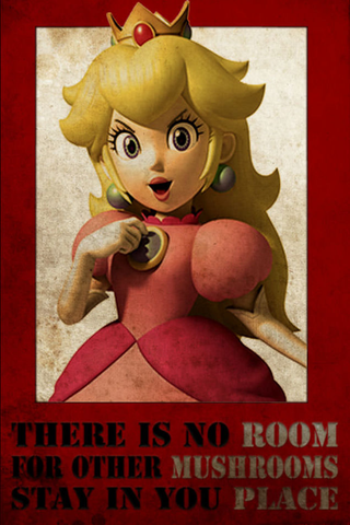 Illustration for article titled 'Shop Contest: Princess Peach Forever, Winners!